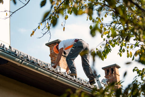 Best Roof Gutter Cleaning  in Fox Lake Hls, IL