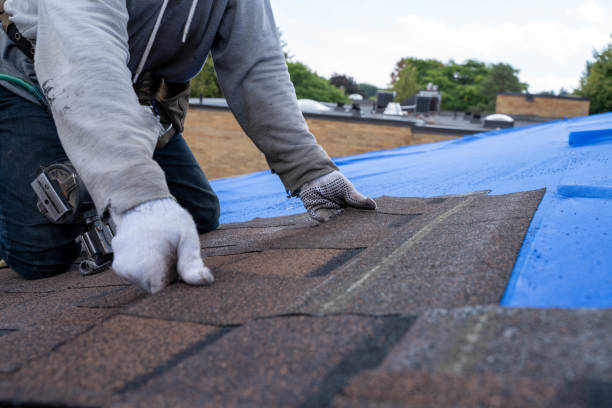 Best Gutter Installation and Roofing  in Fox Lake Hls, IL